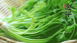 挑選鮮嫩的香菜，洗干凈后，處理成小段。